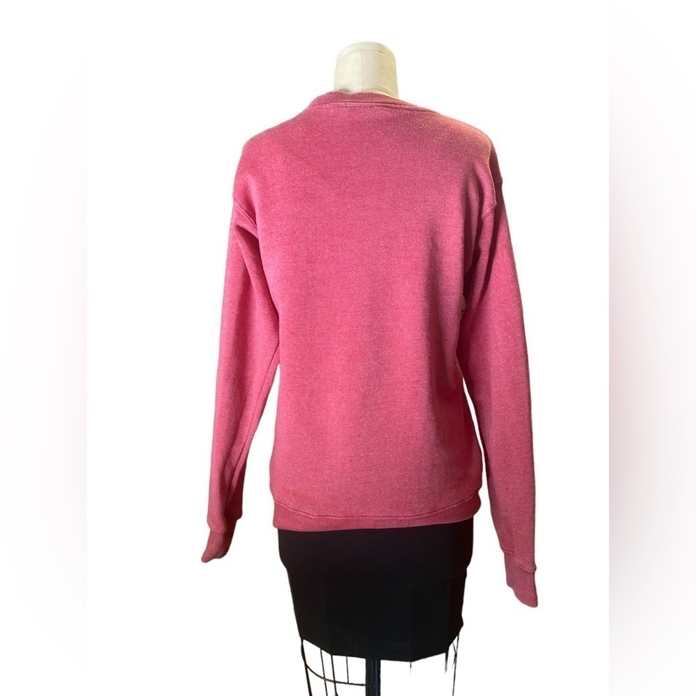 Oceanbeach brand Crew graphic sweatshirt San Diego SUPER soft size M - Picture 2 of 4